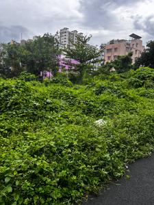 Image of 300 Sq.ft Residential Plot / Land for sale in New Town, Kolkata for Rs. 54500000