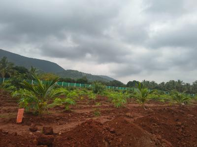 Image of 5432 Sq.ft 2 BHK Farm House for sale in Natham, Dindigul for Rs. 900000