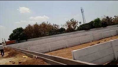 Bihta Plot View 2
