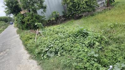 Image of 1760 Sq.ft Residential Plot / Land for sale in Chak Bhikhi, Muzaffarpur for Rs. 1700000