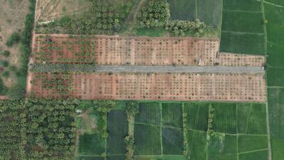 Image of 9600 Sq.ft Residential Plot / Land for sale in Panjappur, Tiruchirappalli for Rs. 8900000