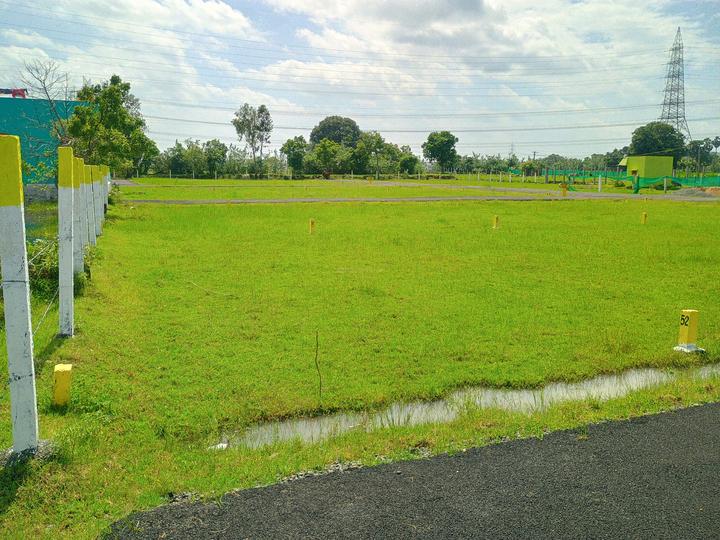 Dhilli KCR Nagar Main Image 1