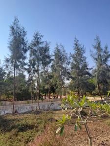 Image of 1000 Sq.ft Residential Plot / Land for sale in Ask City Phase 2, Sonpairi 2, Raipur for Rs. 1200000