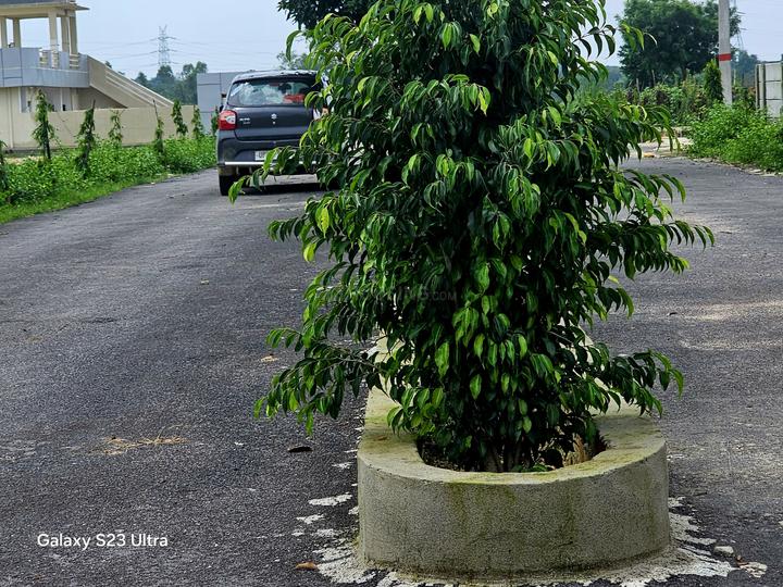 Eldeco II Main Image 1