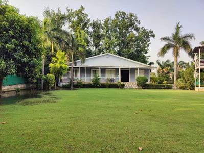 Image of 1500 Sq.ft 4 BHK Farm House for sale in Dkrrish Green Beauty Farms, Sector 135, Noida for Rs. 11250000