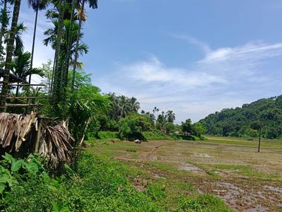 Rewa N.C. Plot View 3