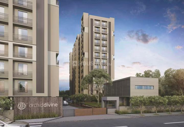 Orchid Divine Main Image 1