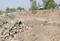 Dholera Main Image 1