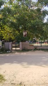 Sector 25 Plot View 2