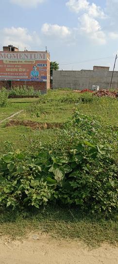 Dharsania Main Image 1
