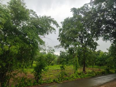 Image of 21780 Sq.ft Residential Plot / Land for sale in Murbad, Thane for Rs. 3200000