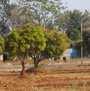 Image of 1810 Sq.ft Residential Plot / Land for sale in Kaggalahalli, Bengaluru for Rs. 8959500