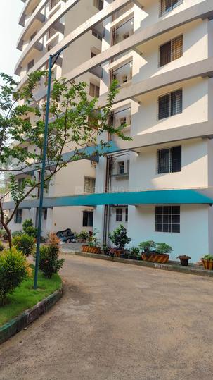 Confident Auriga Main Image 1