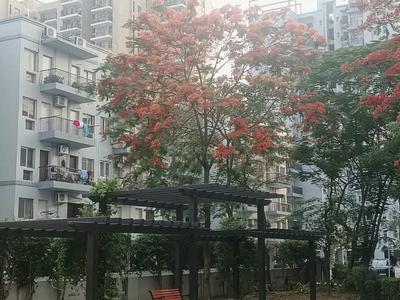 Image of 1735 Sq.ft 4 BHK Apartment / Flat for sale in Rising Homes At DXP 92, Sector 92, Gurgaon for Rs. 16000000
