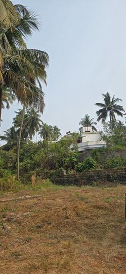 Chevarambalam Main Image 1