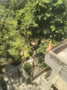 Balcony Image of 850 Sq.ft 2 BHK Builder Floor for sale in Yamuna Vihar New Delhi for Rs. 8000000