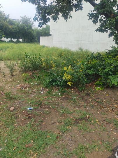 Sushant Lok Phase 3, Sector 57 Main Image 1