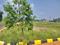 Thiruvallur Plot View 2