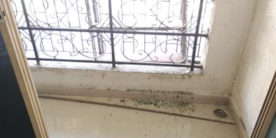 Living Room Image of 1000 Sq.ft 2 BHK Apartment / Flat for sale in Shri Raj Ratnadeep, Kharghar Navi Mumbai for Rs. 12500000