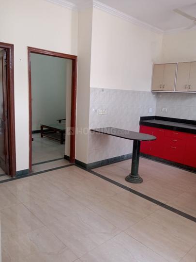 Block C, Sushant Lok Phase 1 Kitchen 1