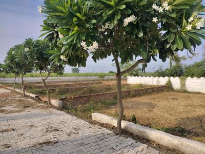 Image of 500 Sq.ft Residential Plot / Land for sale in Del NCR Aero City, Shahpur Kala, Greater Noida for Rs. 1155400
