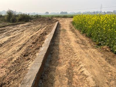Image of 1400 Sq.ft Residential Plot / Land for sale in Bela, Patna for Rs. 2800000