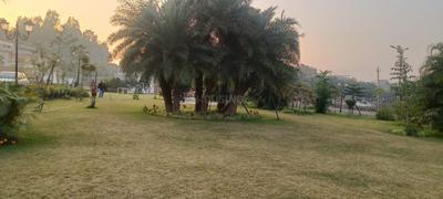 Image of 1516 Sq.ft 3 BHK Apartment / Flat for sale in Omaxe The Resort, New Chandigarh, Chandigarh for Rs. 11800000