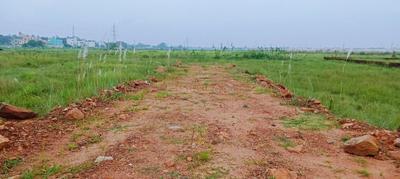 Image of 1200 Sq.ft Residential Plot / Land for sale in Patrapada, Bhubaneswar for Rs. 3600000