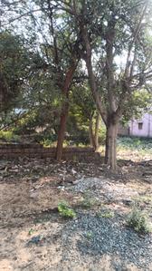 Image of 1742 Sq.ft Residential Plot / Land for sale in Bazarapada, Angul for Rs. 280000