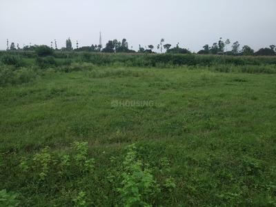 Residential Plot