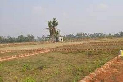 Image of 1485 Sq.ft Residential Plot / Land for sale in ASM Shree Jaswant Garden, Sector 14, Panchkula for Rs. 11530000