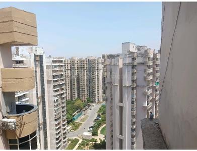 Balcony Image of 930 Sq.ft 2 BHK Apartment / Flat for rent in Supertech Cape Town, Sector 74 Noida for Rs. 32000