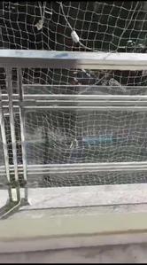 Balcony Image of 1000 Sq.ft 2 BHK Builder Floor for rent in Subhash Nagar New Delhi for Rs. 25500