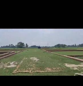 Image of 1000 Sq.ft Residential Plot / Land for sale in Sultanpur Road, Lucknow for Rs. 1000000