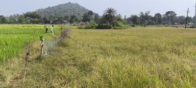Image of 43560 Sq.ft Residential Plot / Land for sale in Bhagatpur, Cuttack for Rs. 850000