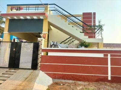 Plot View