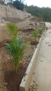 Image of 2925 Sq.ft Residential Plot / Land for sale in Bhogpur, Dehradun for Rs. 8125000