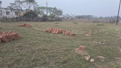 Dhamilo Plot View 3