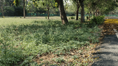 Image of 435 Sq.ft Residential Plot / Land for sale in Vedapatti, Coimbatore for Rs. 750000