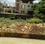 Chaman vihar Main Image 1