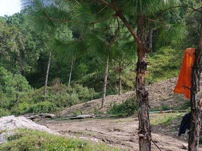 Image of 200 Sq.ft Residential Plot / Land for sale in Mall Road, Mussoorie for Rs. 3000000