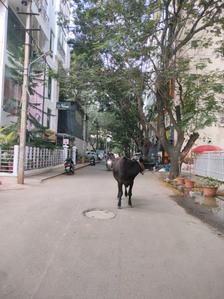 Image of 2400 Sq.ft Residential Plot / Land for sale in Brookefield, Bengaluru for Rs. 62400000