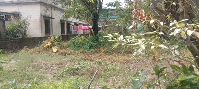Seba Gram Plot View 3