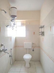 Common Bathroom Image of 1440 Sq.ft 3 BHK Apartment / Flat for rent in Amigo Sri Tirumala Vintage, Basapura Bengaluru for Rs. 35000