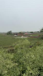 Image of 120 Sq.ft Residential Plot / Land for sale in Sector 145, Noida for Rs. 23400000