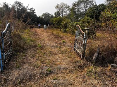 Kodarvaya Plot View 3