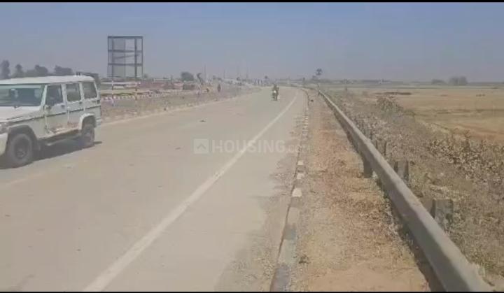 Society   Main Image 1