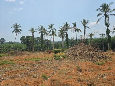 Image of 76176 Sq.ft Residential Plot / Land for sale in Kanjirappally, Kottayam for Rs. 26250000