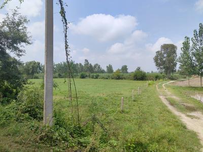 Image of 300 Sq.ft Residential Plot / Land for sale in XU III, Greater Noida for Rs. 31500000