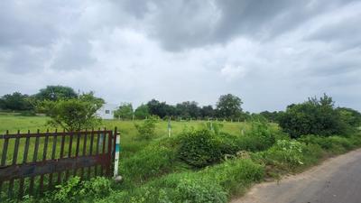 Madhav farm house Plot View 2